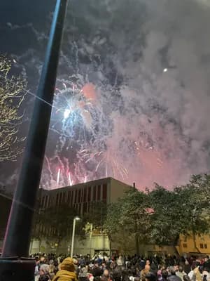 A nighttime scene with a crowd watching fireworks over a building.