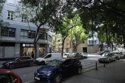 Parked cars and trees along a city street.