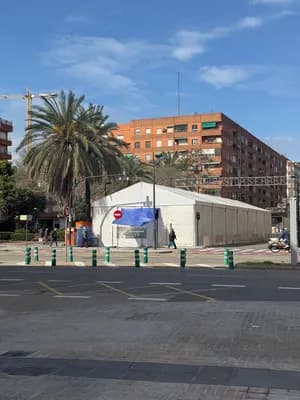 A white tent with a blue tarp on a street corner, surrounded by palm trees and buildings under a clear sky.