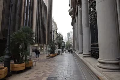 A quiet street with tall buildings, palm trees, and a paved walkway.