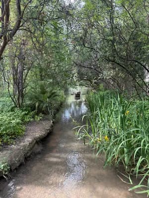 Narrow canal with green vegetation and trees on both sides.