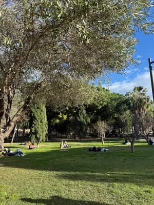 Des gens se détendent sous des arbres dans un parc ensoleillé.