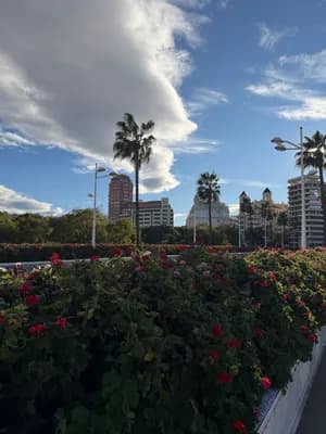 A garden with red flowers and palm trees, set against modern buildings and a partly cloudy sky.