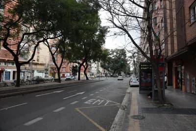 A street scene with trees, buildings, a bus stop, and an EMT marking.