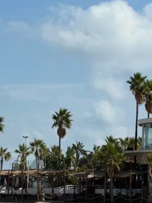 Palm trees and beach umbrellas under a partly cloudy sky.