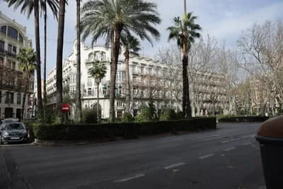 Palm trees and buildings along a street.