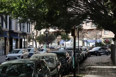 Parked cars along a tree-lined street with buildings in the background.