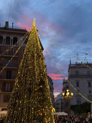 Illuminated Christmas tree with golden lights against a twilight sky with pink and blue hues.