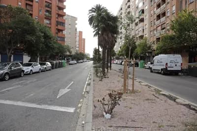 A street with parked cars, palm trees, and residential buildings.