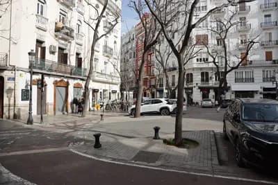 A quiet urban street with white buildings, parked cars, and a tree in the center of the sidewalk.