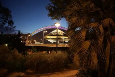 A modern bridge lit up at night with palm trees in the foreground.