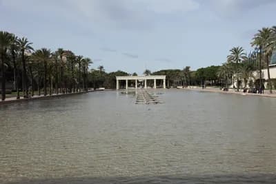 A tranquil park with a reflecting pool, palm trees, and a covered pavilion.