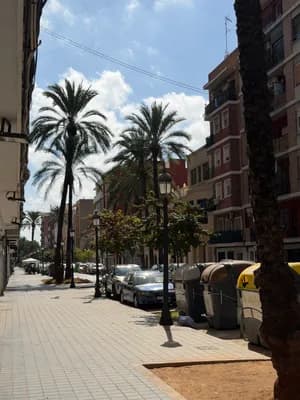 A street with palm trees, parked cars, and buildings under a partly cloudy sky.