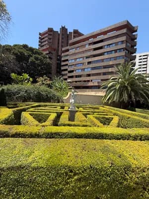 Manicured hedge maze with statue, palm trees, and modern building.
