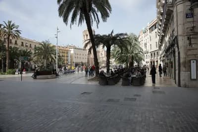 A plaza with palm trees, benches, and people walking in the background.