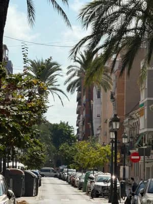 A street with trees, parked cars, and residential buildings.