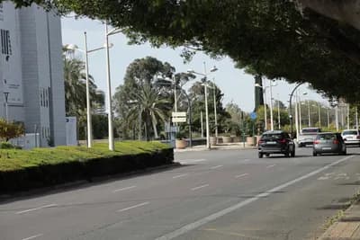 A road with trees and streetlights, featuring moving vehicles.