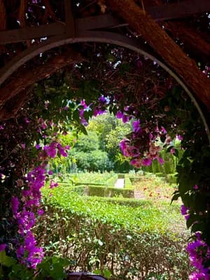 A garden path framed by a wooden arch adorned with purple flowers.