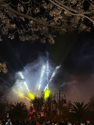 Fireworks display over a park with palm trees and a crowd of spectators at night.