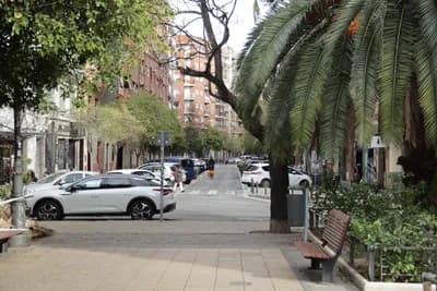 A street scene with parked cars, palm trees, and a pedestrian in the background.