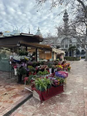 A flower stall with potted plants and flowers on a tiled sidewalk in front of a building with a dome and a clock tower.