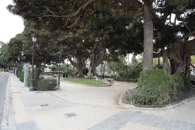 Paved walkway leading through a park with large trees and greenery.
