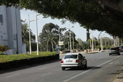 A white car driving on a tree-lined street with palm trees and modern buildings in the background.