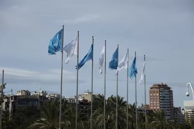 Flags waving in the wind with palm trees and buildings in the background.