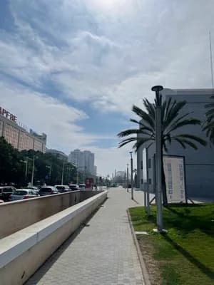 Palm trees and a paved walkway under a sunny sky with a building in the background.