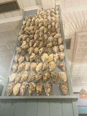 Coquilles d'huîtres sur une surface métallique dans une pièce carrelée.
