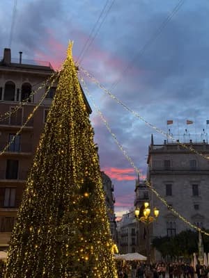 A large, illuminated Christmas tree in a city square at dusk, with buildings and string lights in the background.