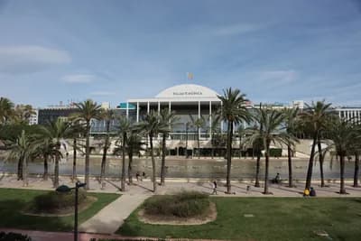 Palm trees and a modern building with a glass facade.