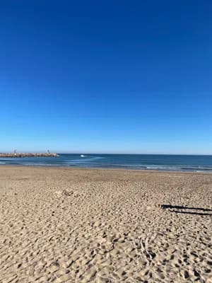 A sandy beach with a clear blue sky and a distant boat on the horizon.
