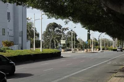 A street with trees, a modern building, and a car.
