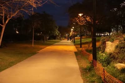 A pathway illuminated by streetlights at night in a park setting.