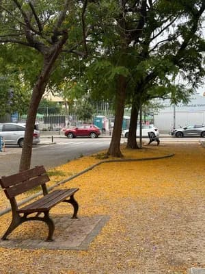 Скамейка в парке среди упавших желтых листьев с деревьями и припаркованными автомобилями на заднем плане.