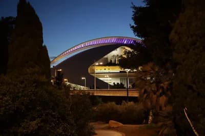 A modern building with a curved roof illuminated at night, surrounded by trees and bushes.