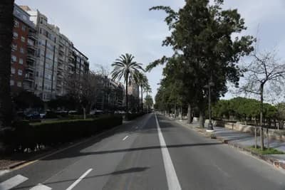 A wide avenue with palm trees and apartment buildings on the left, under a clear sky.