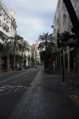 A street in Valencia with palm trees and historic architecture.