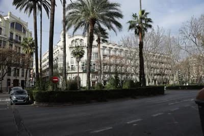 Urban street with palm trees and historic architecture.