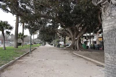A pathway lined with trees and greenery in a park setting.