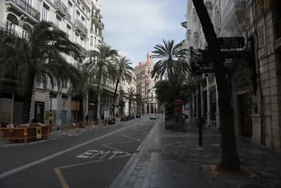 A street in Valencia with palm trees and historic architecture.