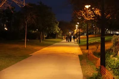 A pathway illuminated by street lamps in a park at night.