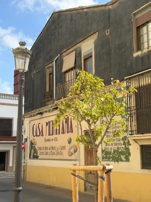 A street scene with a building sign reading 'Casa Mestana' and a tree in front of it.