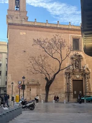 Historic stone building with ornate details and a tree in front, under a clear sky.