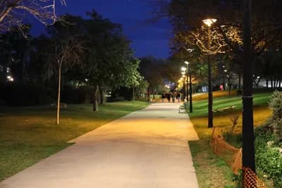 A pathway lined with trees and benches illuminated by streetlights at night.