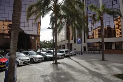 Parked cars under palm trees in front of modern buildings.