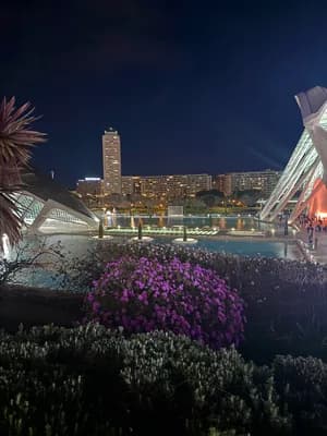 A modern cityscape at night with illuminated buildings and a garden featuring purple flowers.