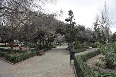 Paved pathway with trimmed hedges and trees in a park setting.