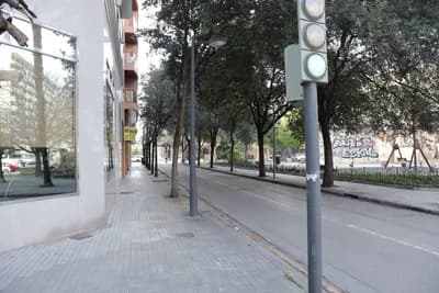 A street scene with a traffic light showing green, trees, and a sidewalk.